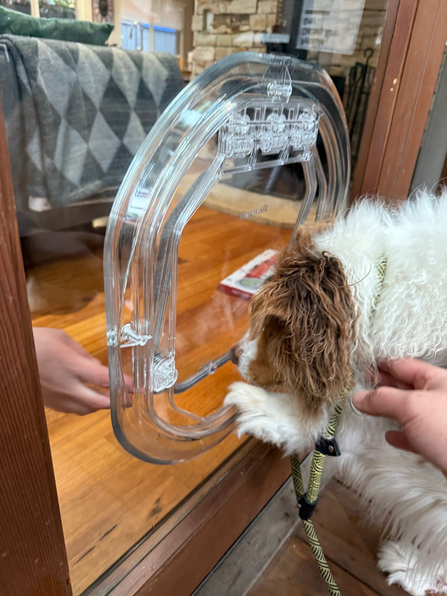 Dog learning to use a Dogwalk pet door — dog door and dog flap training tips from Pet-Tek