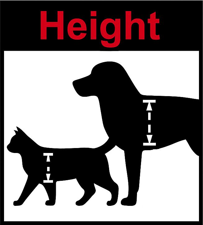 How to measure pet shoulder height — measure from top of shoulders to bottom of chest