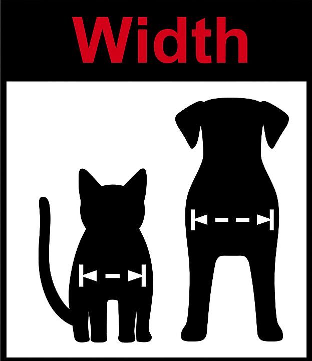 How to measure pet chest width — measure the widest part of your pet's body