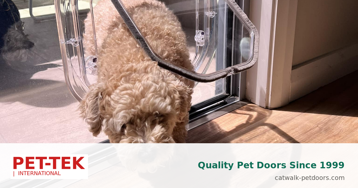 G-CDC Glass Fitting Cat Door Clear | Catwalk® Pet-Tek