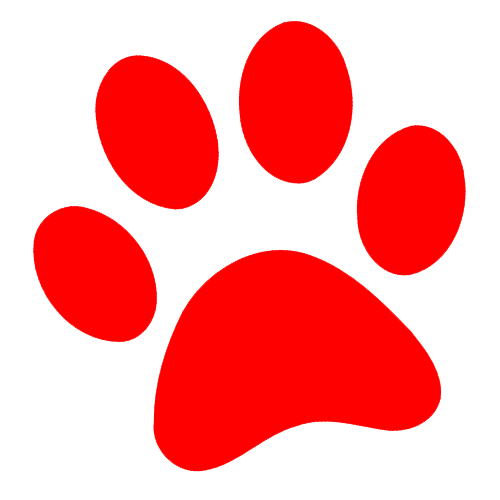 Pet-Tek International