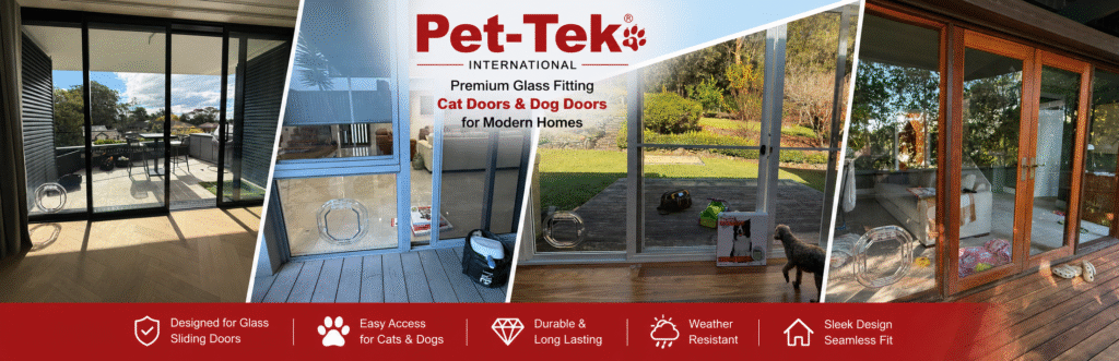 glass fitting cat door and dog in sliding door